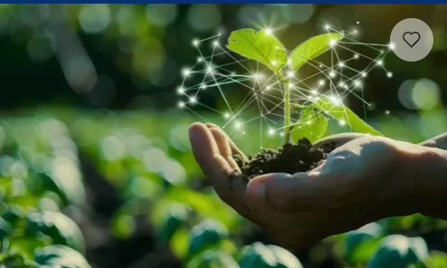 Copertina della pagina LA FEDERAZIONE LOMBARDIA ADERISCE ALL'OSSERVATORIO SMART AGRIFOOD DI POLIMI E UNIBS - 