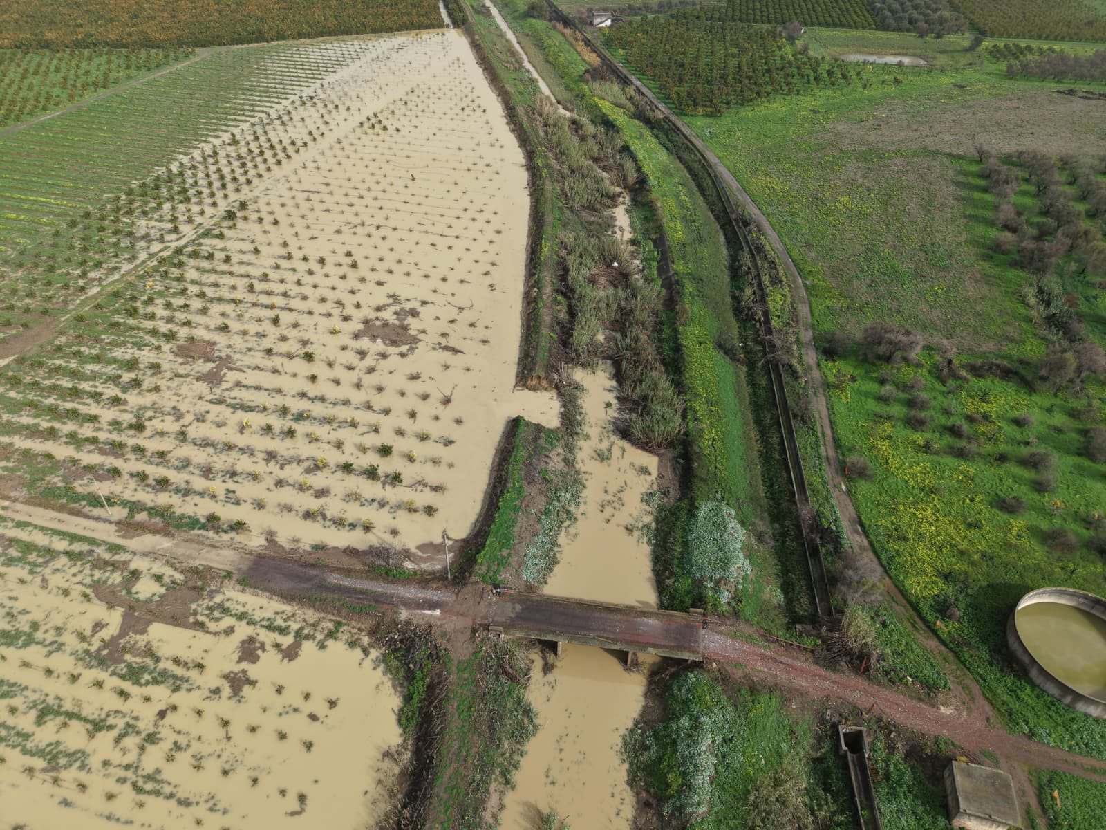 Copertina della pagina Eventi meteorologici eccezionali: la vicinanza dell’Ordine dei Dottori Agronomi e Forestali di Catania alle comunità colpite